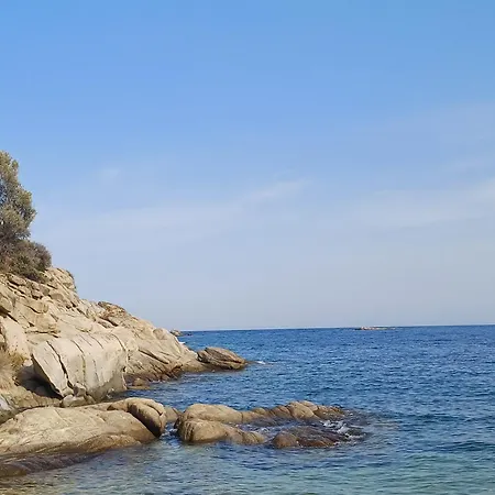 Summer Paradise